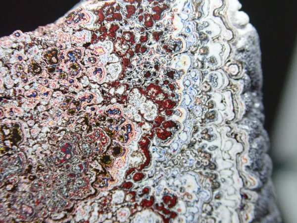 画像5: フォーダイト　D40 (5)