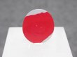 画像3: フォーダイト　D21 (3)