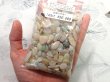 画像1: 【740ct】大量外し石オパールセット！！ (1)