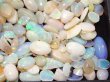 画像7: 【740ct】大量外し石オパールセット！！ (7)