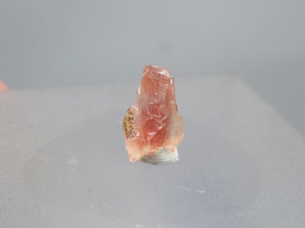 画像4: オレゴンサンストーン3【250809】 (4)