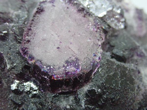 画像7: ナミビア産 フローライト【251101】 (7)