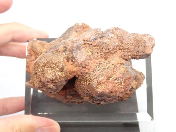 画像5: ブラジル産 水晶と自然金【251108】 (5)