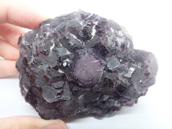 画像5: ナミビア産 フローライト【251101】 (5)