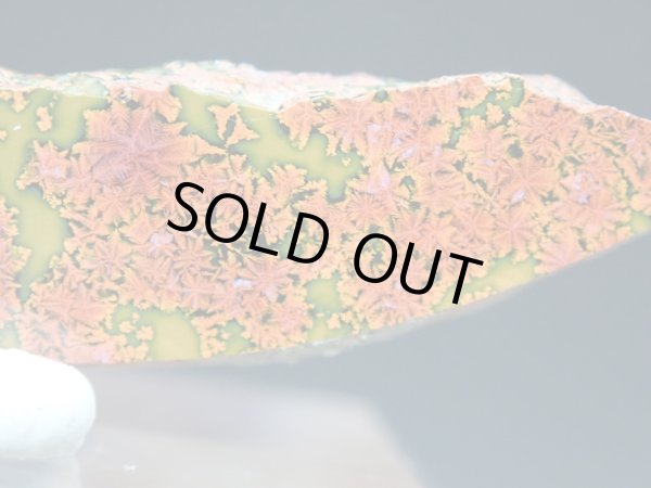 画像9: 紅葉石 07　2面研磨品【G251113】 (9)