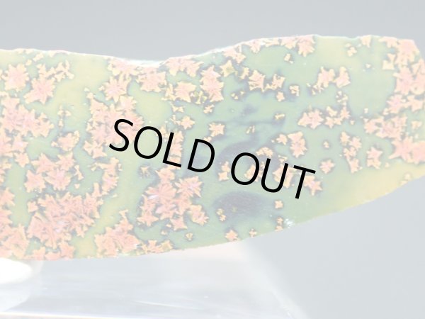 画像7: 紅葉石 07　2面研磨品【G251113】 (7)