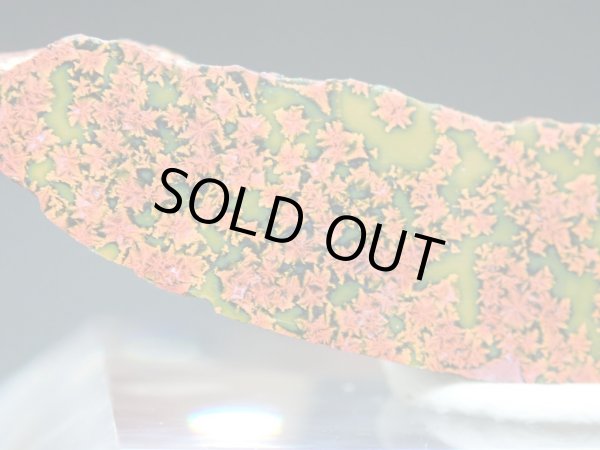 画像8: 紅葉石 07　2面研磨品【G251113】 (8)