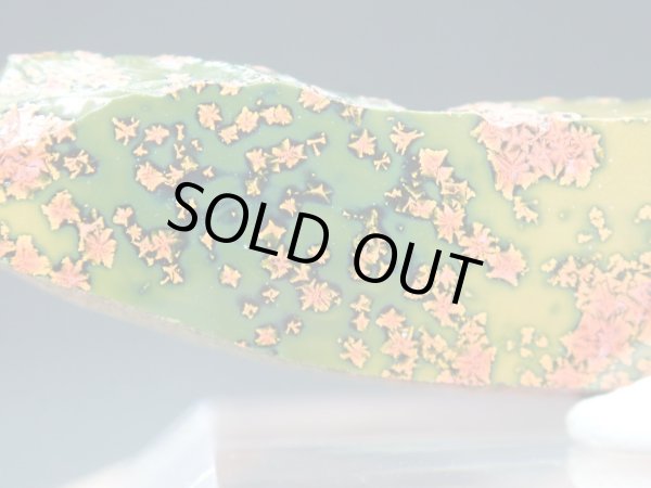 画像10: 紅葉石 07　2面研磨品【G251113】 (10)