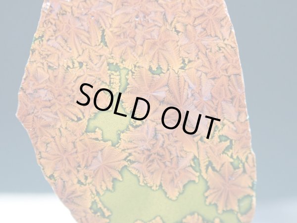 画像5: 紅葉石 02　2面研磨品【G251108】 (5)