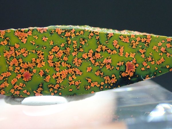 画像6: 紅葉石 03　2面研磨品【G251109】 (6)