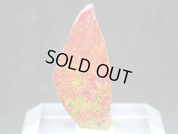 画像1: 紅葉石 02　2面研磨品【G251108】 (1)