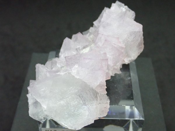 画像2: メキシコ産 フローライト【251116】 (2)