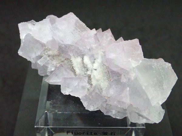 画像1: メキシコ産 フローライト【251116】 (1)