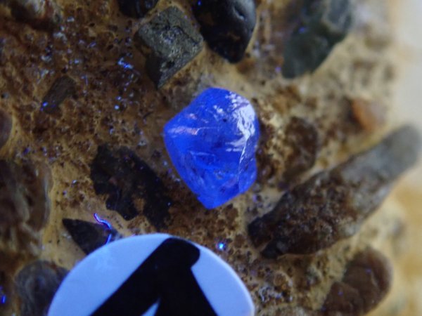 画像8: ブラジル産 自然金とダイヤモンド【251204】 (8)