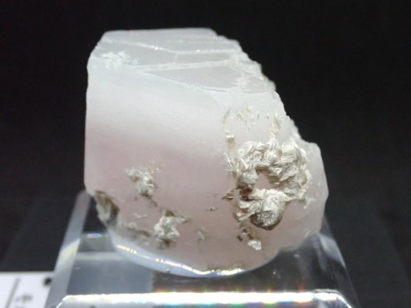 画像2: アフガニスタン産 モルガナイト【251205】 (2)