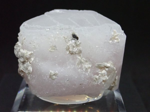 画像3: アフガニスタン産 モルガナイト【251205】 (3)