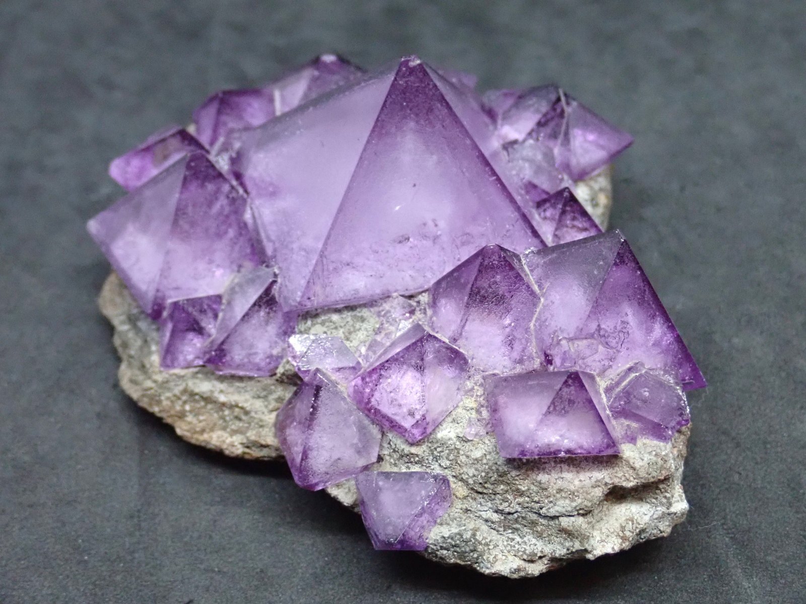 ミョウバンの結晶 ミョウバン種結晶 つり糸付き 4個（27） - メルカリ